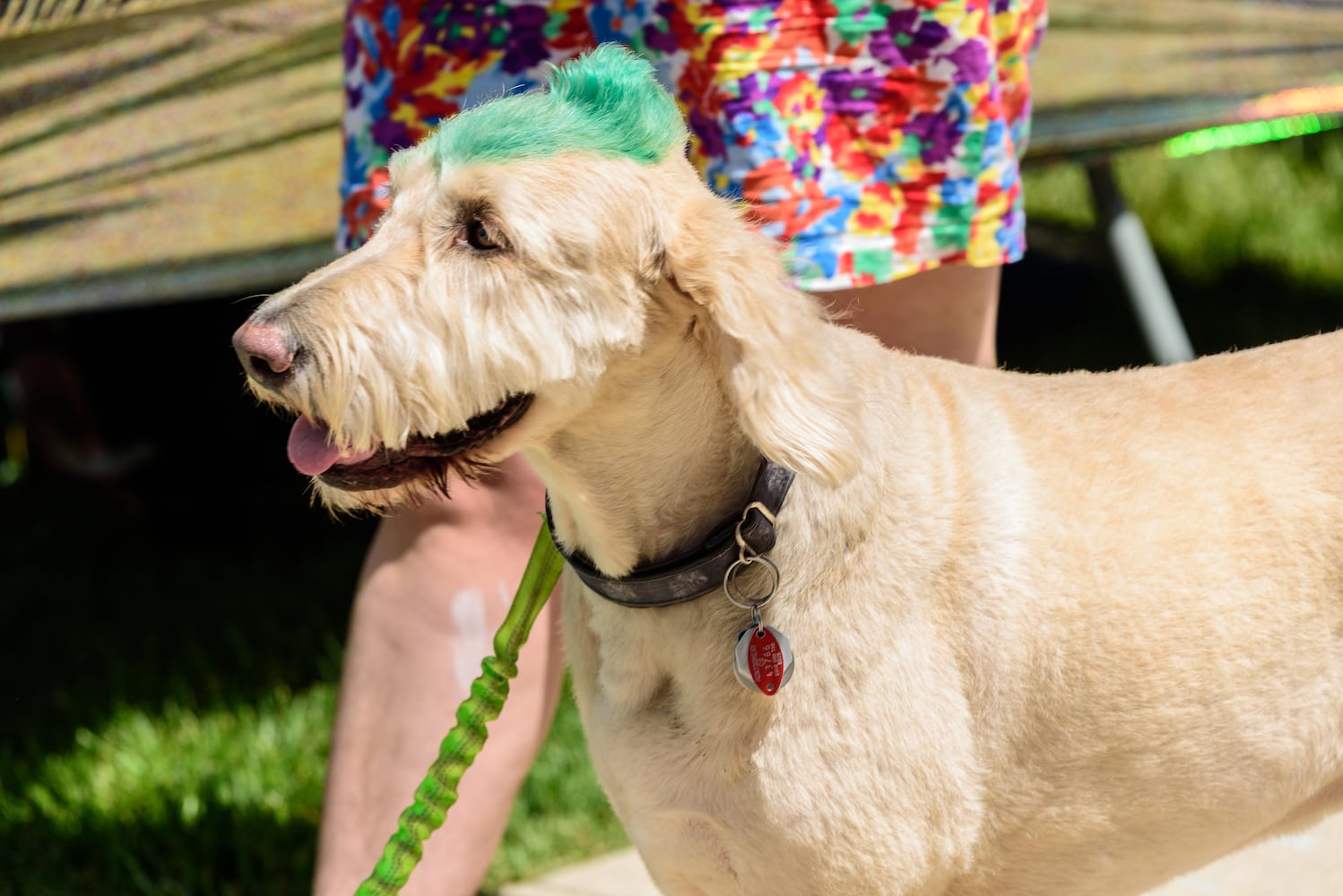 PHOTOS: 2025 Pride Rocks! at Levitt Pavilion