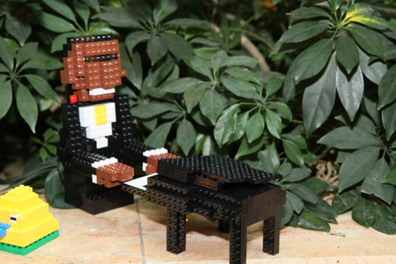 LEGO Master Builder Competition at Phipps