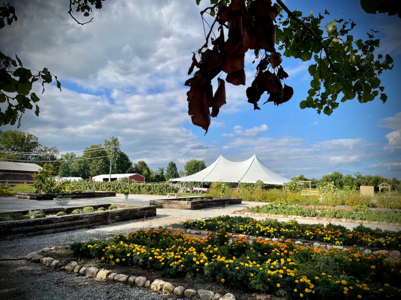 Hidden Valley Orchards