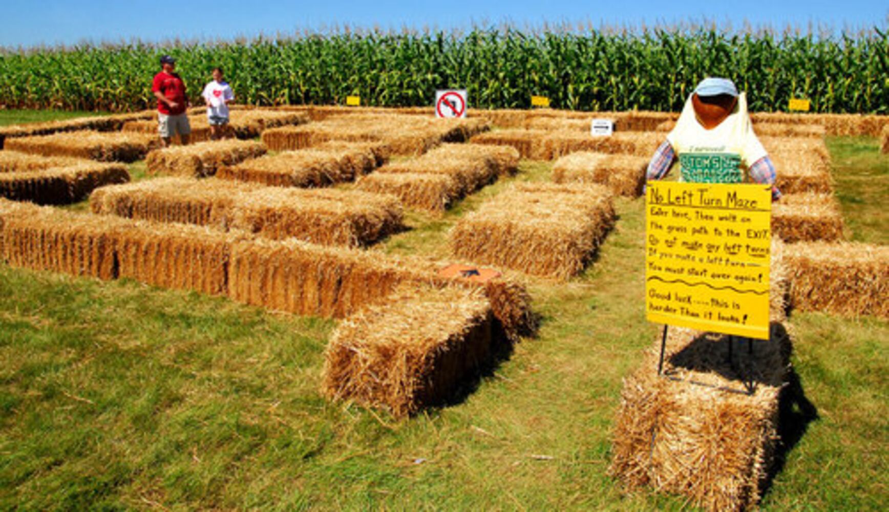 Tom's Maze corn maze opens