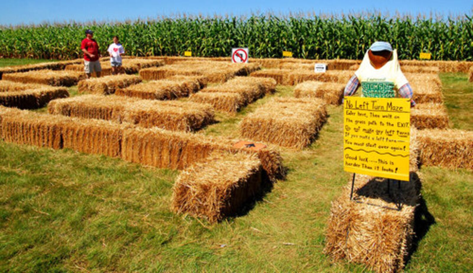Tom's Maze, an eight-acre maze of corn in Montgomery Co.'s Jefferson Twp. opened this past weekend for its 12th season. The maze is owned by Tom and Marie Eby.