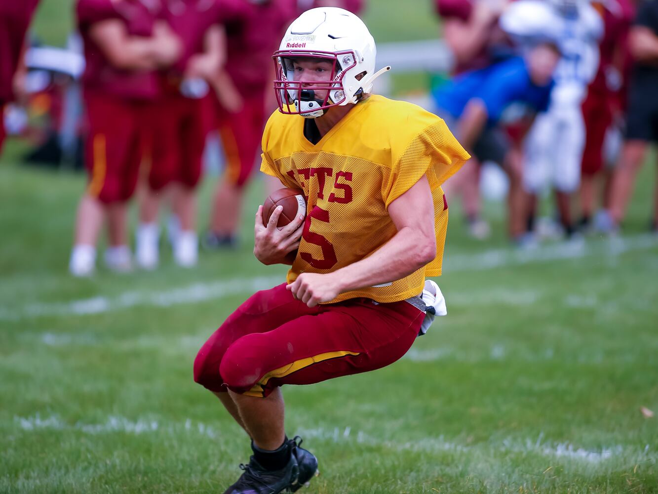 hsfb