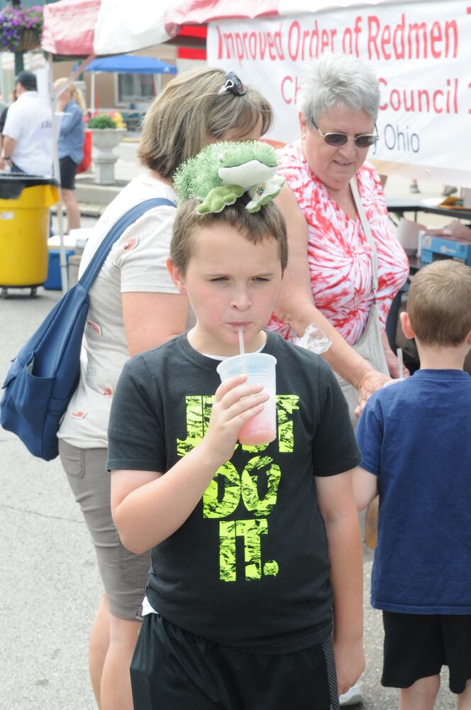 PHOTOS: Did we spot you having a BERRY good time at the Troy Strawberry Festival?