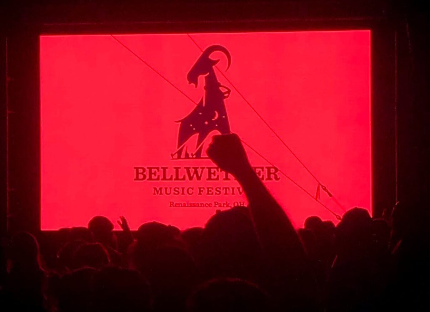 PHOTOS: Missing Bellwether Music Festival? Take a look back