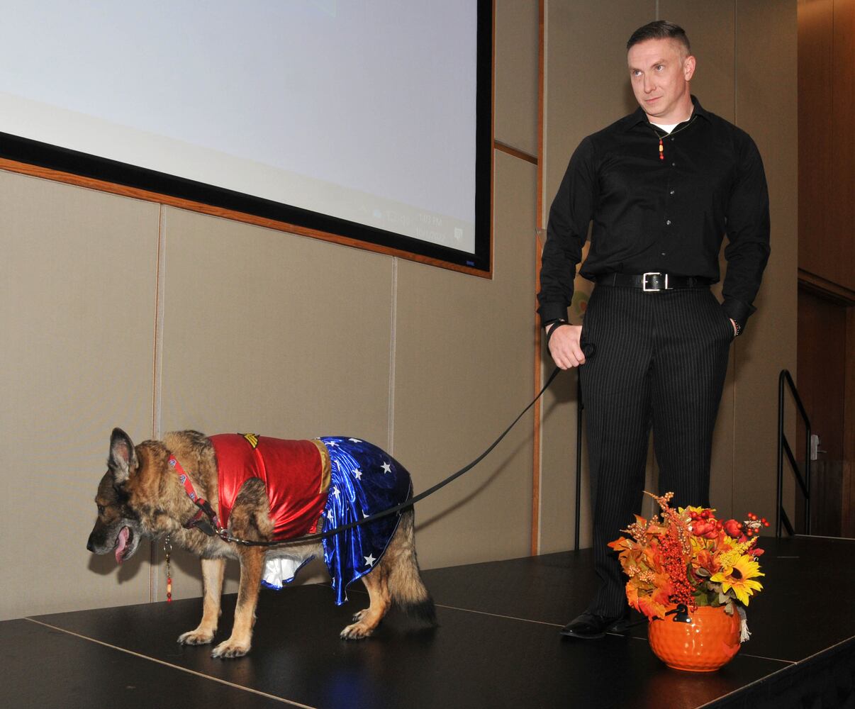 Did we spot you at Dogs on the Catwalk?