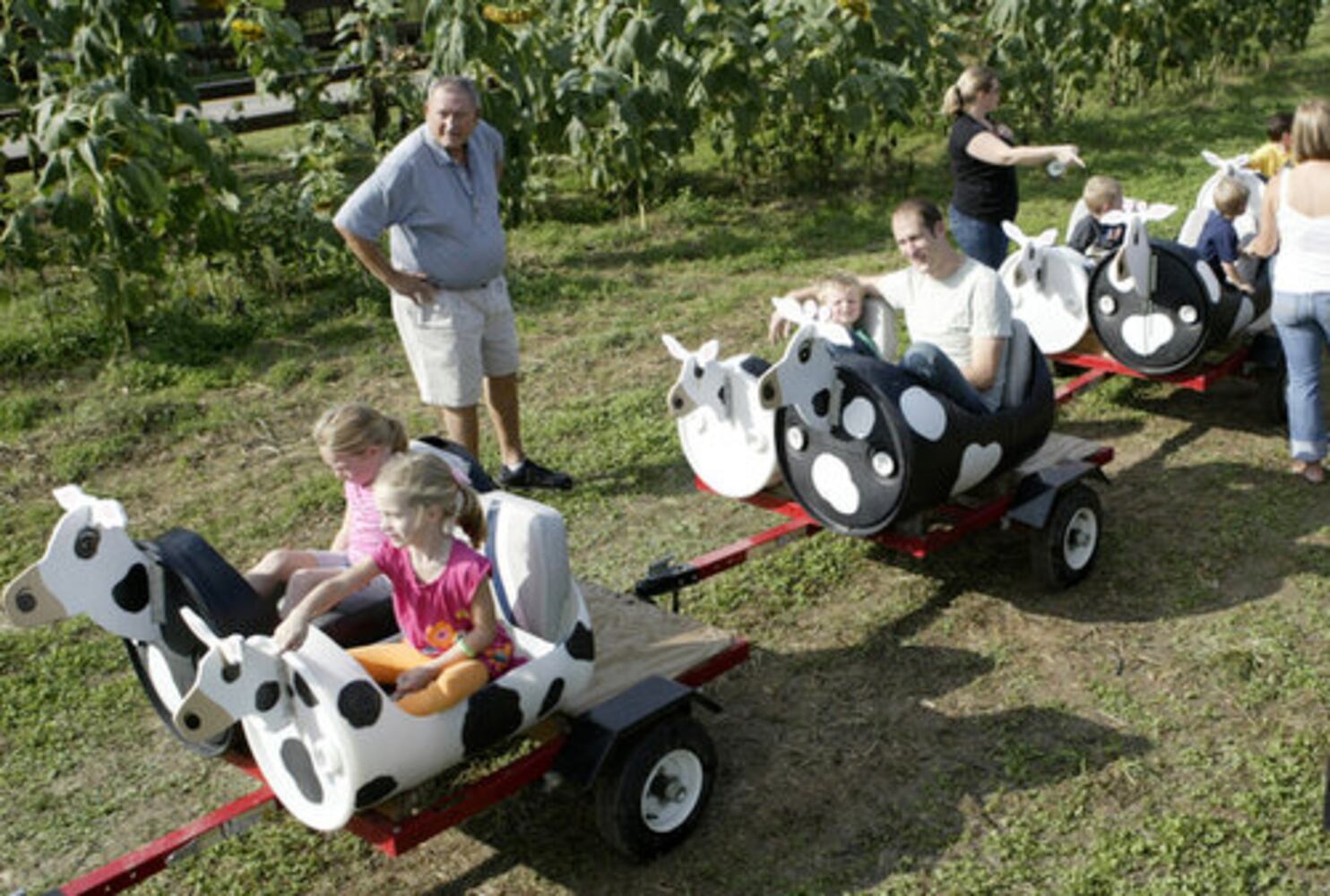 Adventure Acres Corn Maze