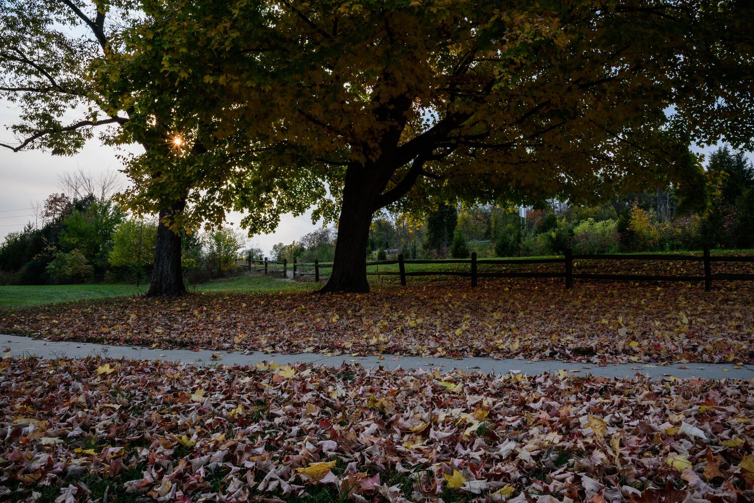Huffman MetroPark in the fall