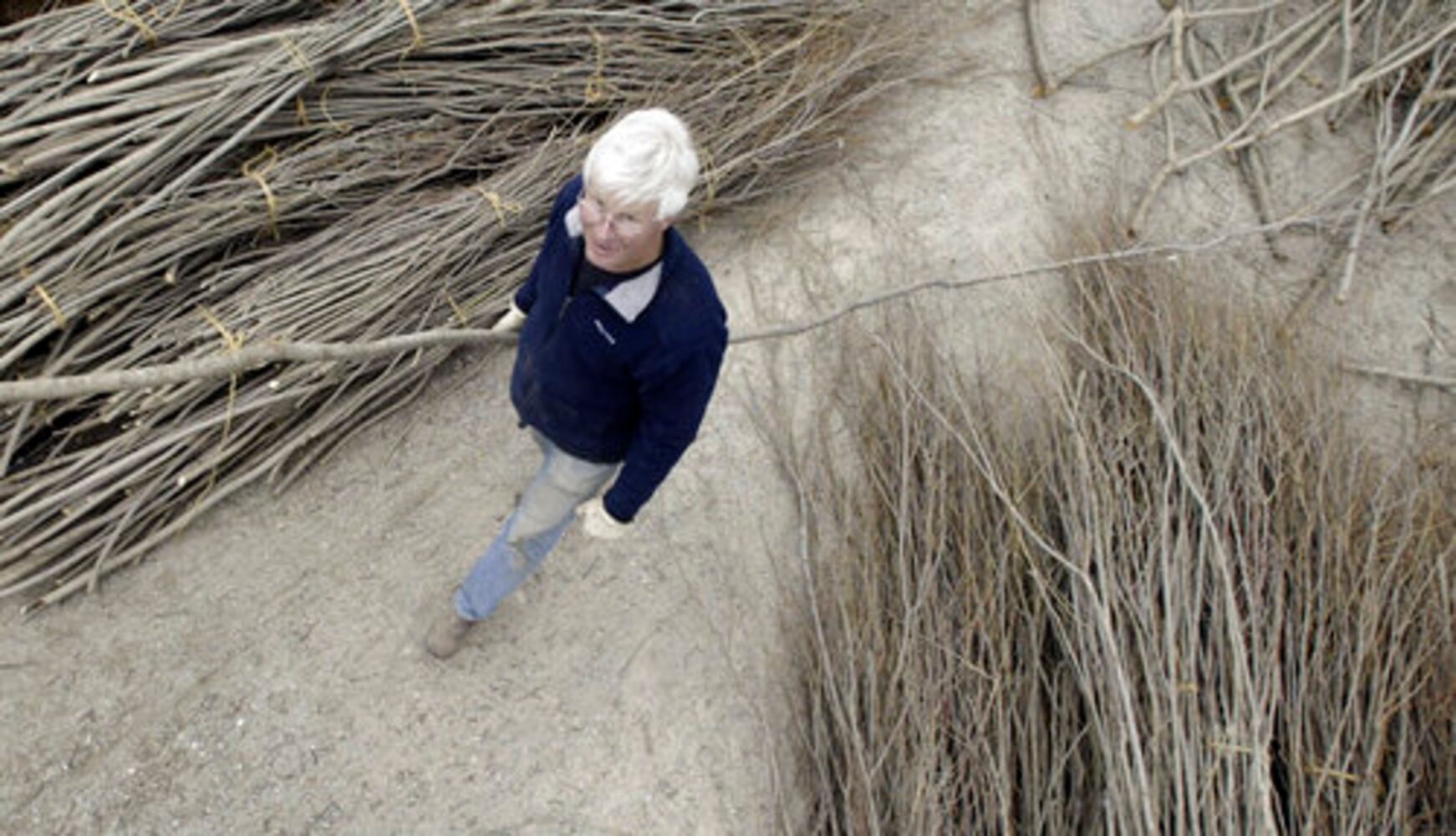 "Woven Wood" artist Patrick Dougherty