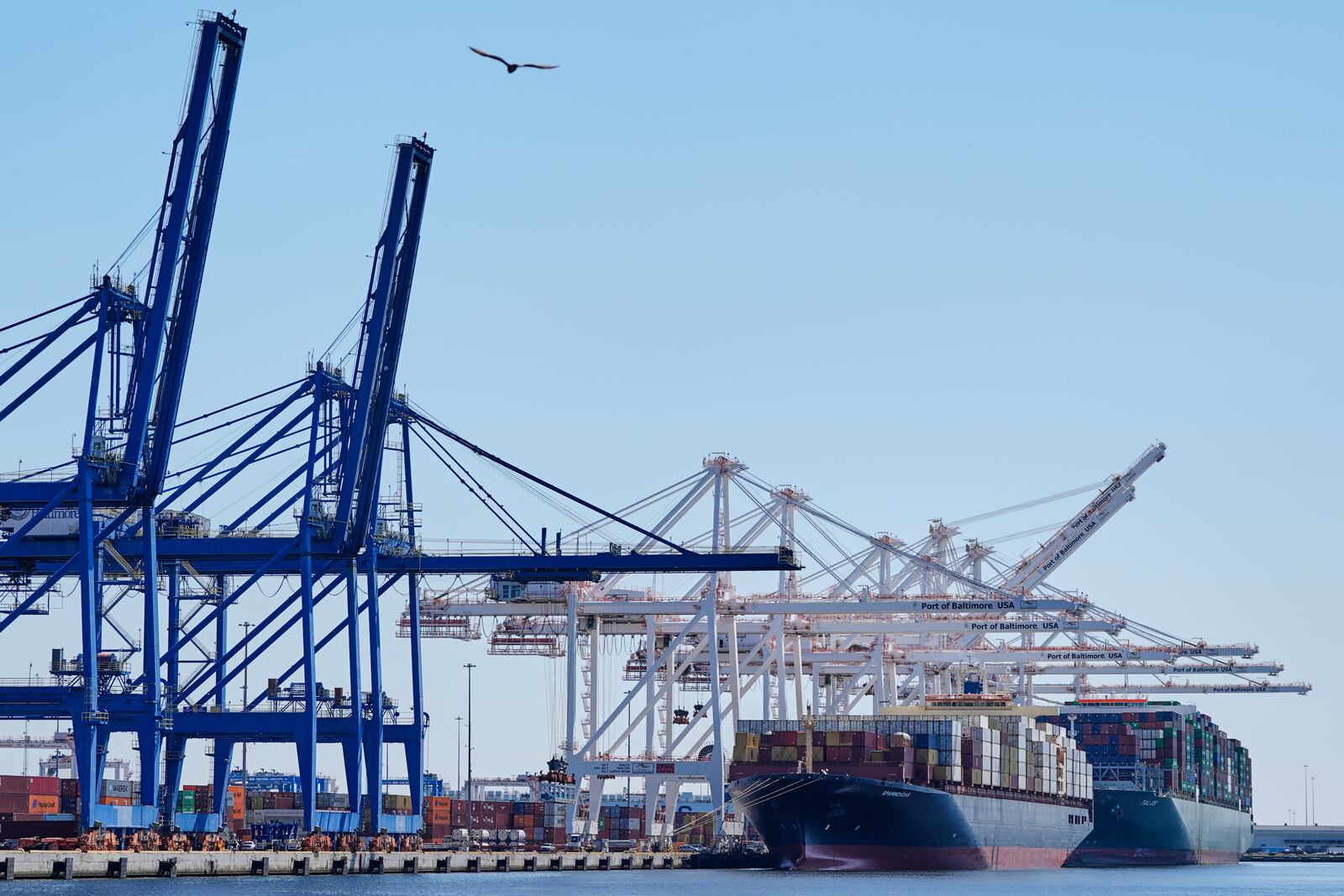 Container ships Epaminondas and Talos are docked at the Port of Baltimore, Wednesday, April 9, 2025, in Baltimore. (AP Photo/Stephanie Scarbrough)
