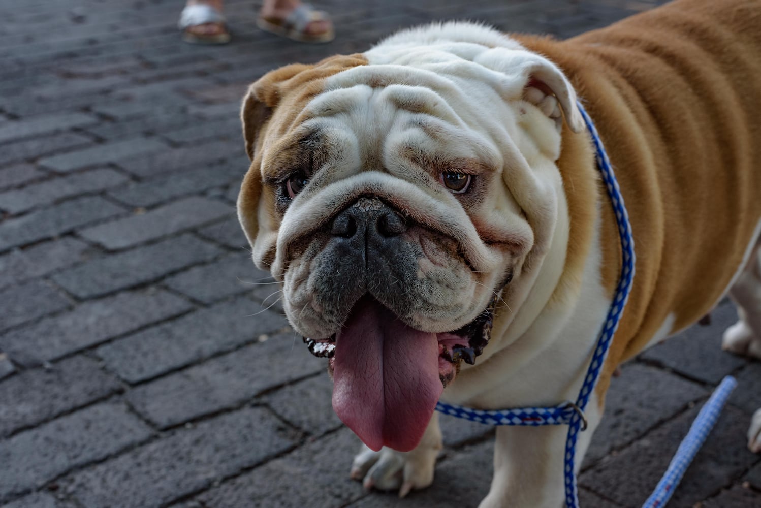 PHOTOS: Did we spot you Out on Fifth?
