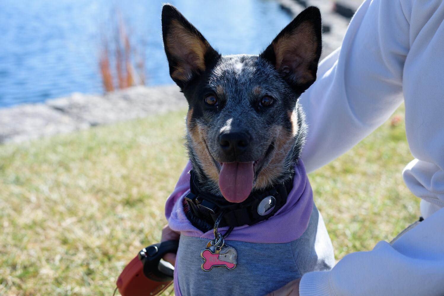 PHOTOS: Did we spot you and your dog at Wag-O-Ween at the Kettering Recreation Center?