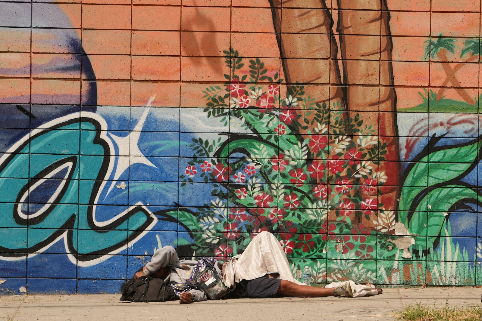 A person sleeps on a sidewalk, Monday, May 12, 2025, in Los Angeles. (AP Photo/Damian Dovarganes)
