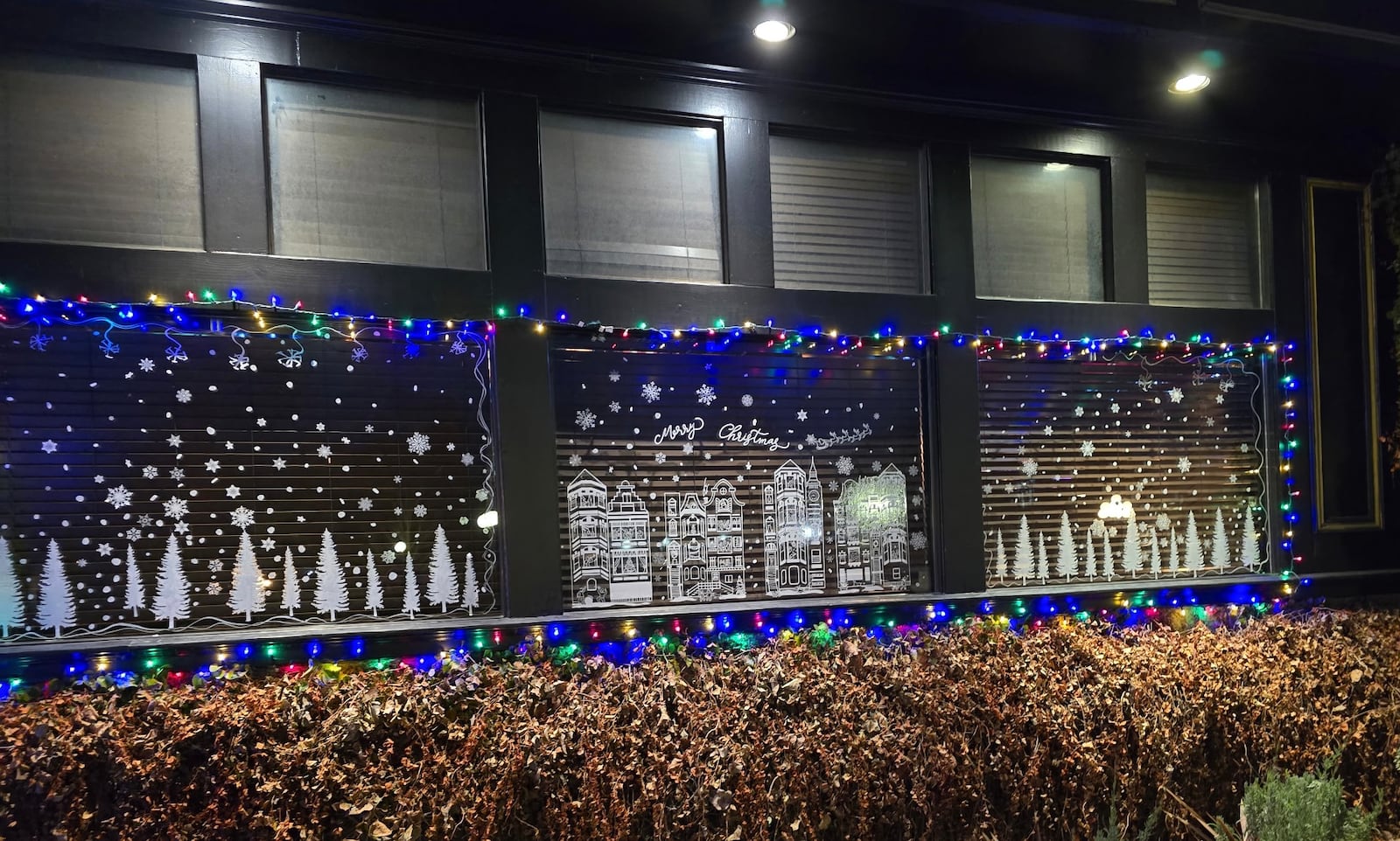 The Dublin Pub, contestant in Whimsical Windows contest in 2025.