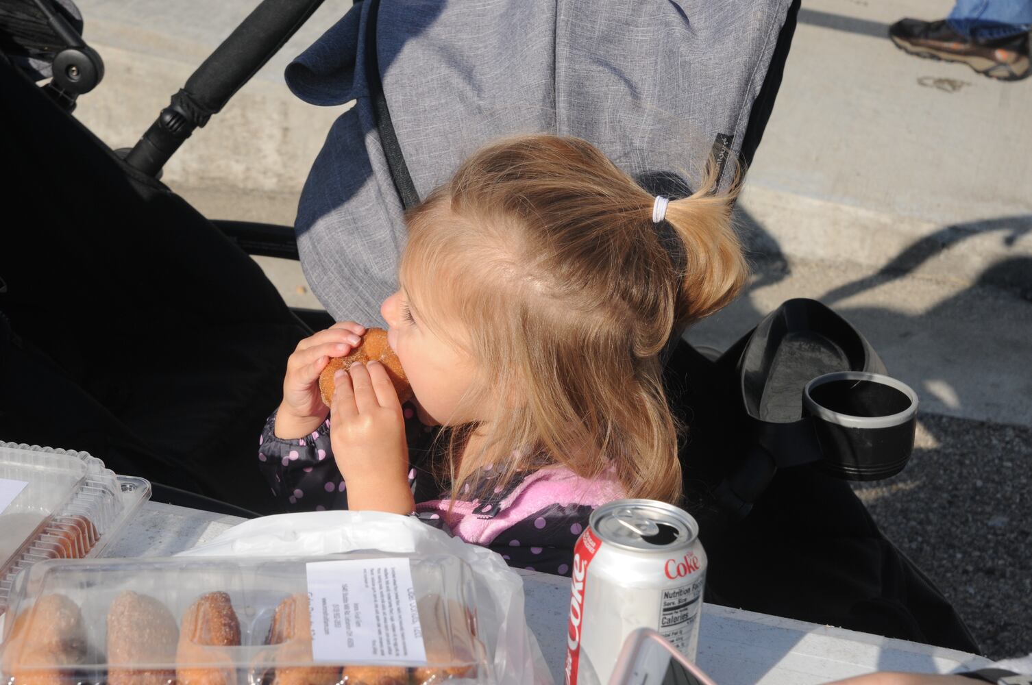 PHOTOS: Did we spot you at Lebanon Country Applefest?