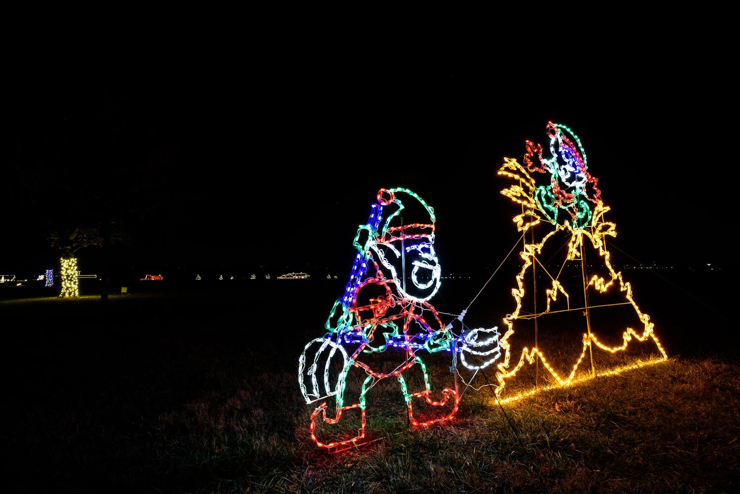 PHOTOS: Holiday Lights dazzle at Lost Creek Reserve in Troy