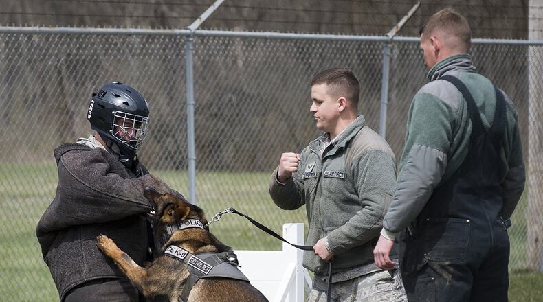 Cadet Staff Sgt. Sean Konomos from the U.S. Air Force Academy’s Squadron 37 gets a firsthand look at an 88th Air Base Wing Security Forces military working dog in action during a visit to Wright-Patterson Air Force Base on April 6. Konomos and his fellow cadets, along with cadets from the University of Minnesota’s Detachment 415 were at Wright-Patt for several days to learn different aspects of the Air Force mission. (U.S. Air Force photo/Jim Varhegyi)