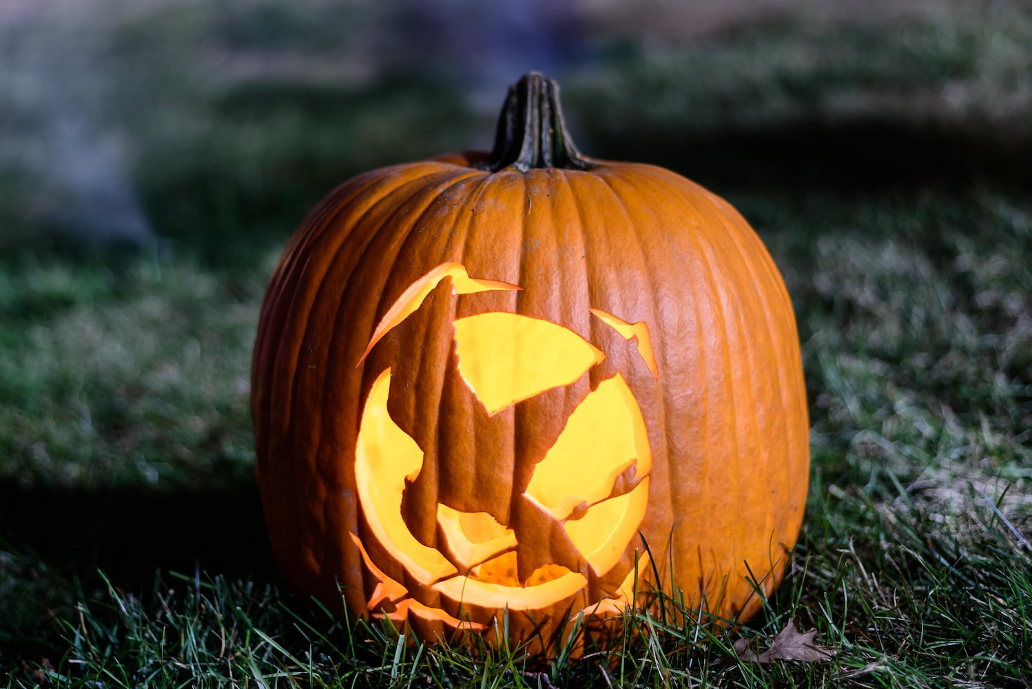 PHOTOS: 2025 Stoddard Avenue Pumpkin Glow