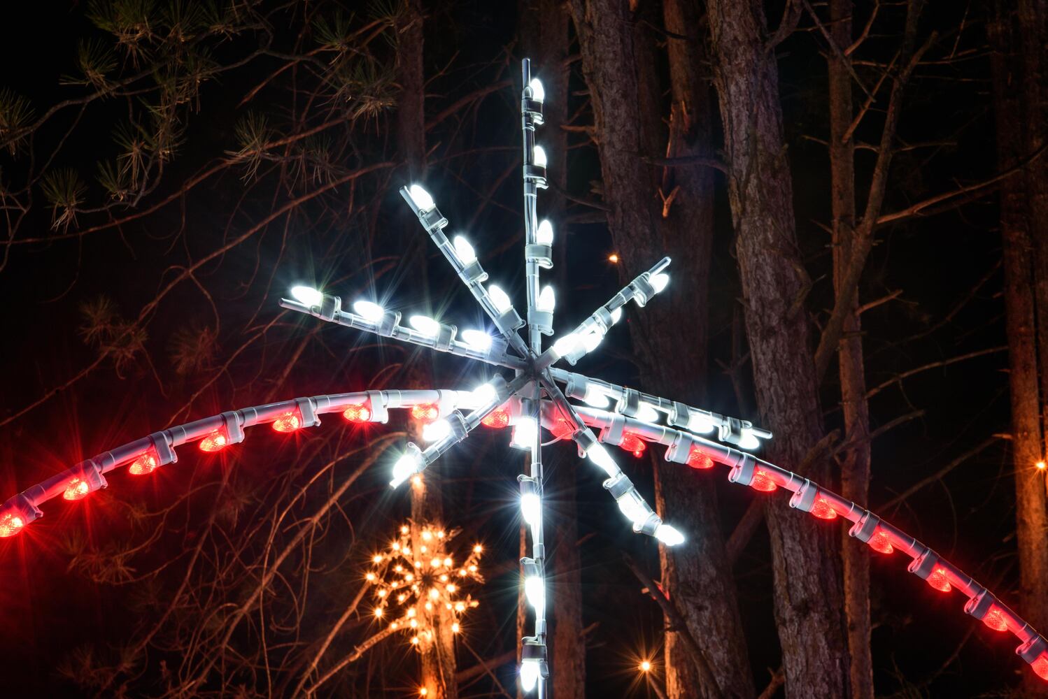 PHOTOS: A walk through Woodland Lights in Washington Township