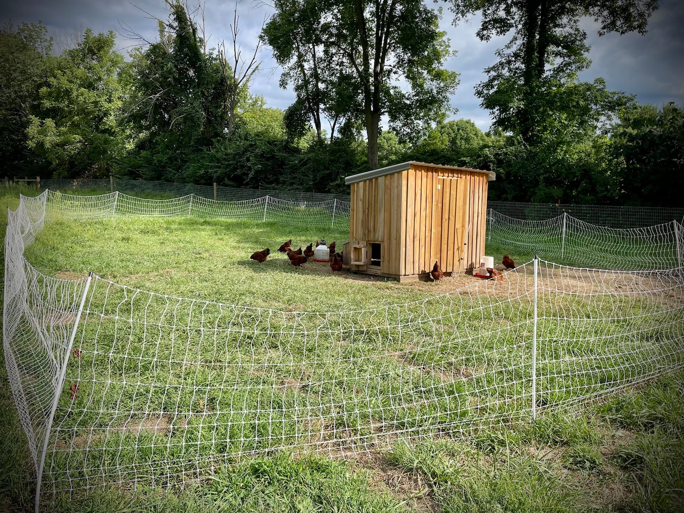 Hidden Valley Orchards