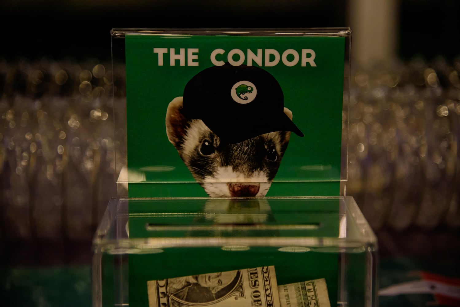 PHOTOS: EUREKA! A science experiment for grown-ups