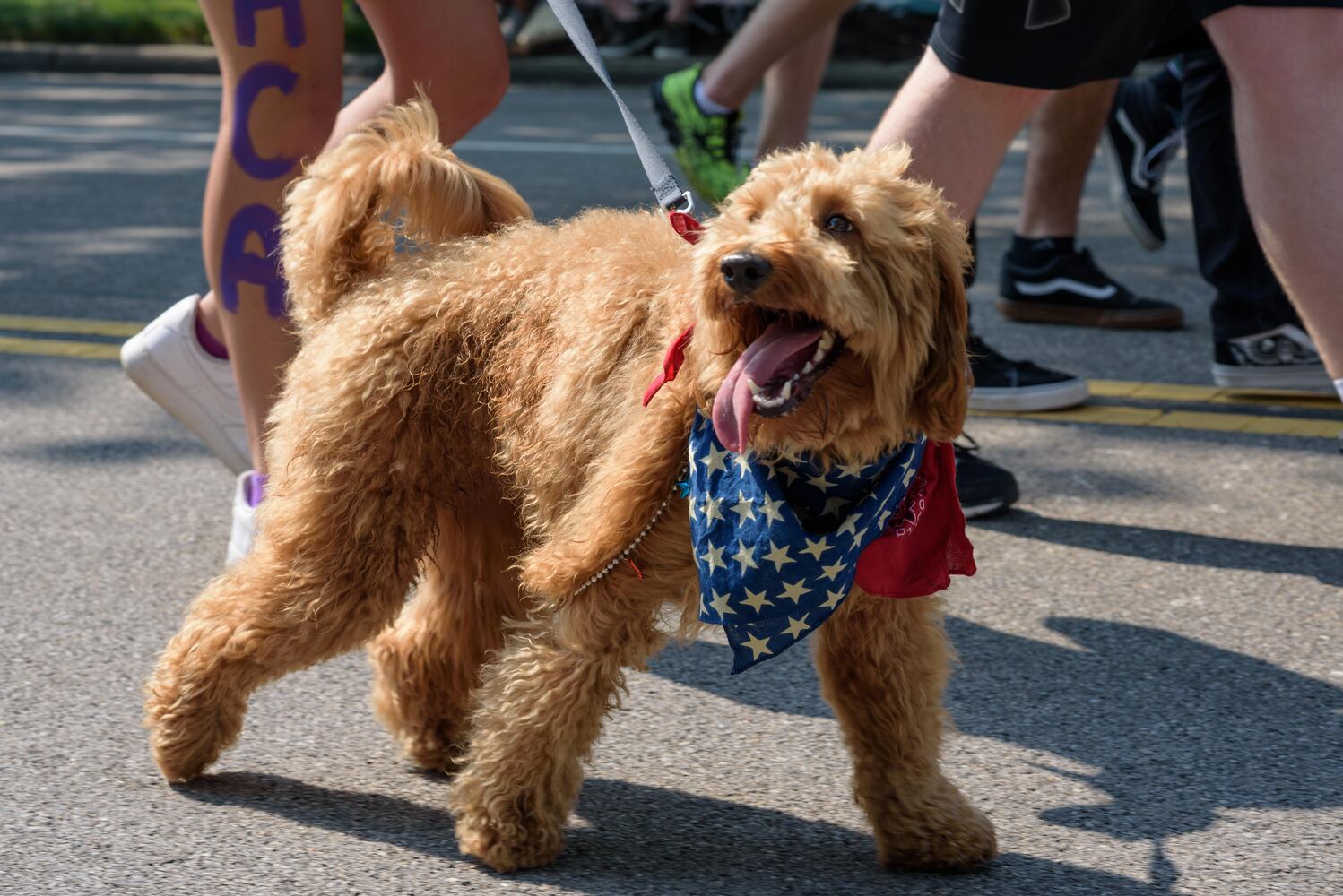 PHOTOS: Centerville-Washington Township Americana Festival Parade