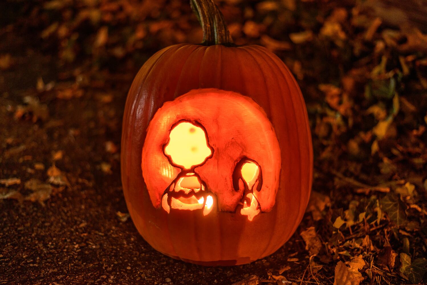 PHOTOS: The Stoddard Avenue Pumpkin Glow