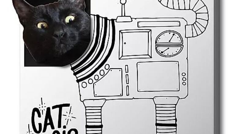 Brian Johnson, a local marketer and event promoter, has launched Cat Magic Box. Wayne.Lily's owner Emily Mendenhall's cat, models.