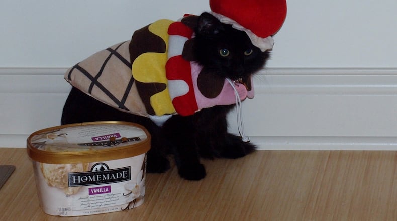 Wednesday the reluctant ice cream cone. JORDAN BLAKE/CONTRIBUTED