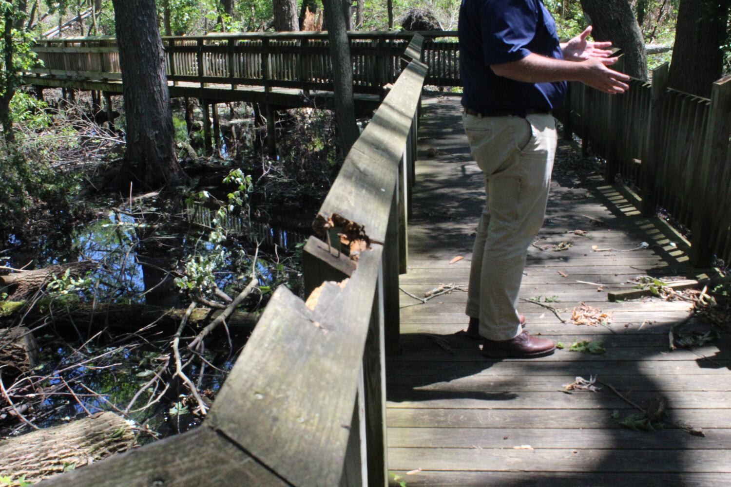 Photos: ‘extraordinary’ damage to parts of  Wegerzyn MetroPark, some parts mostly untouched