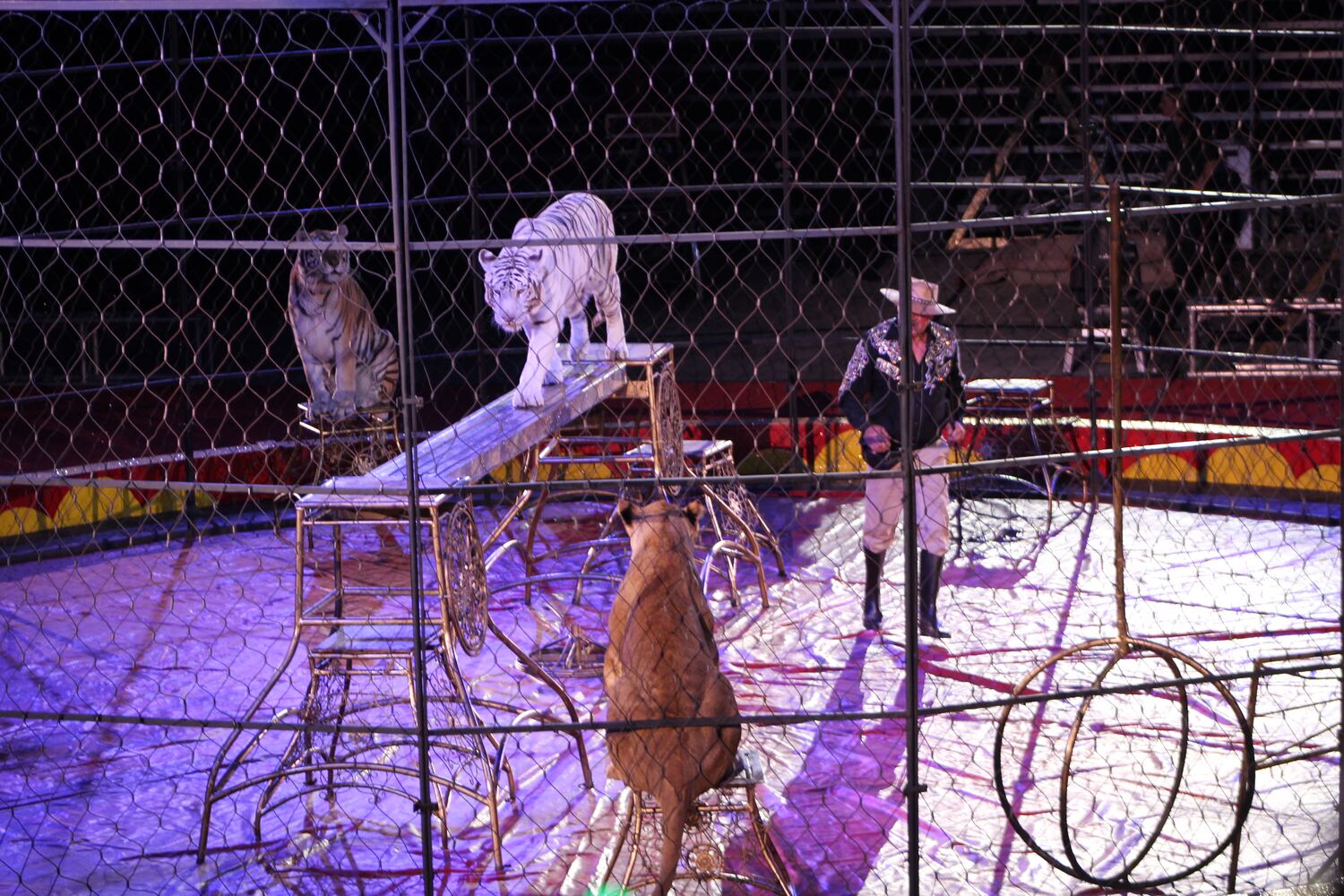 PHOTOS: Antioch Shrine Circus at UD Arena