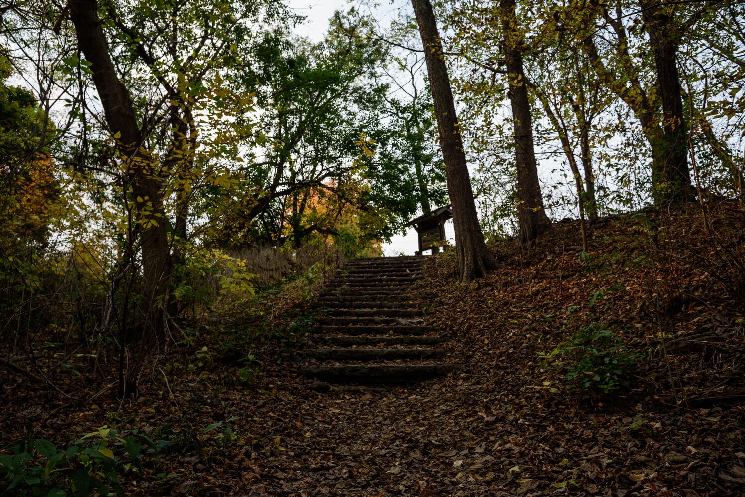 Huffman MetroPark in the fall