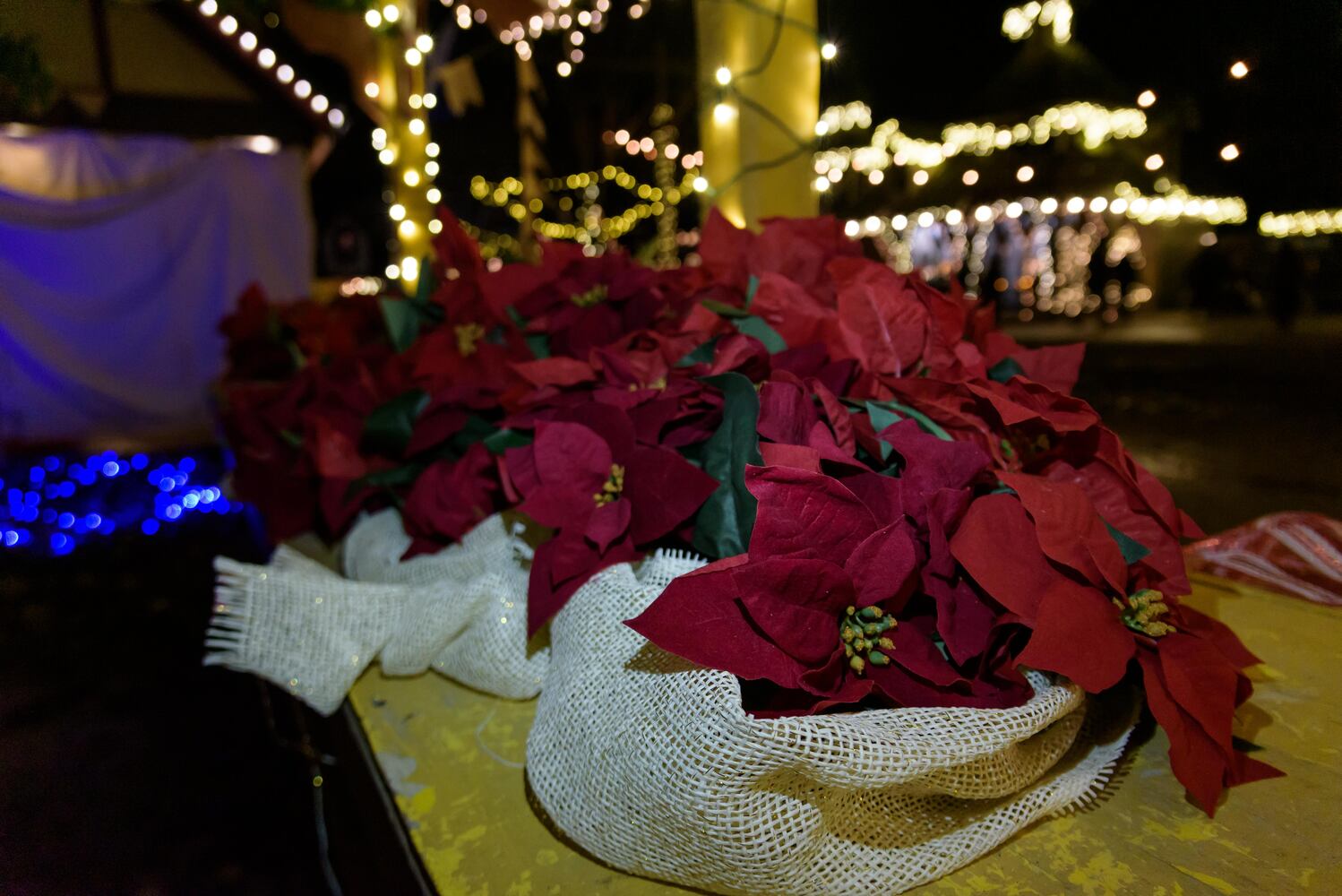 PHOTOS: The Second Annual Yuletide Village at Renaissance Park Event Center