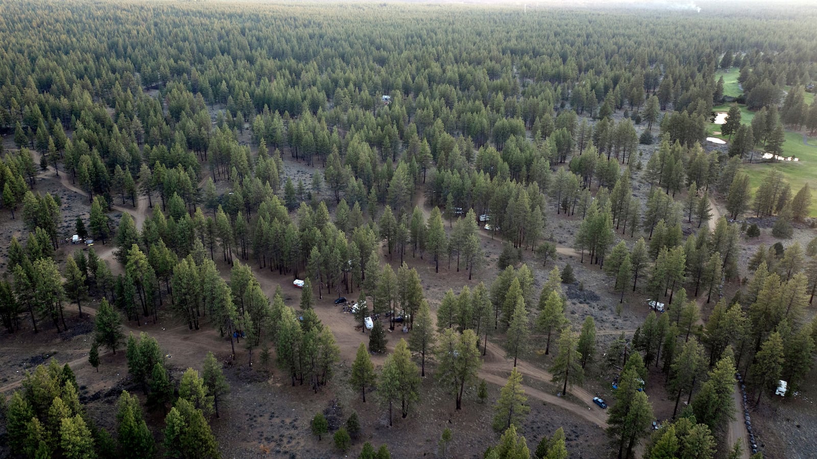 Trailers and RVs are seen at a homeless encampment in Deschutes National Forest, Wednesday, April 30, 2025, near Bend, Ore. (AP Photo/Jenny Kane)
