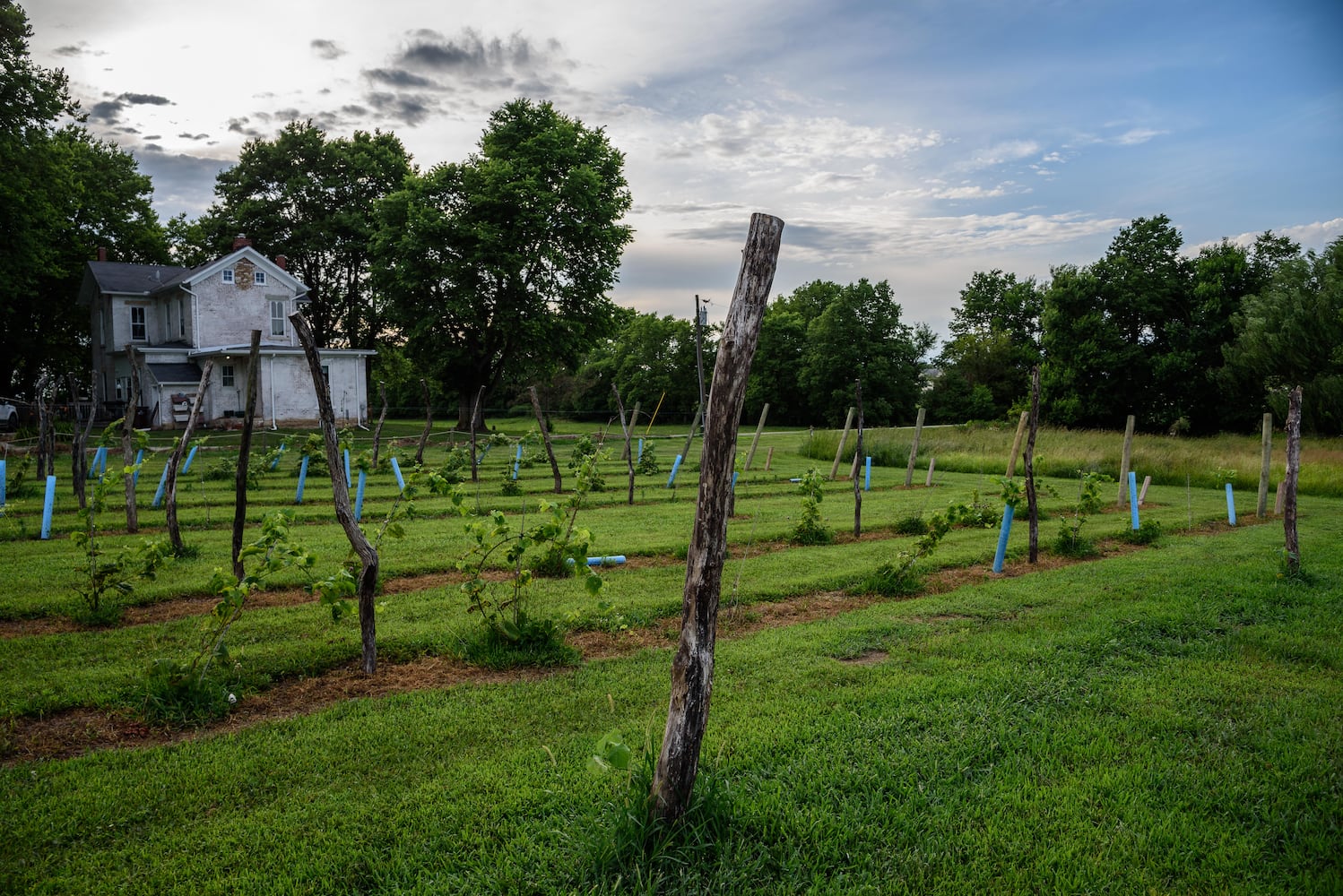 PHOTOS: Our first look inside the newly opened Twenty One Barrels Cidery & Winery