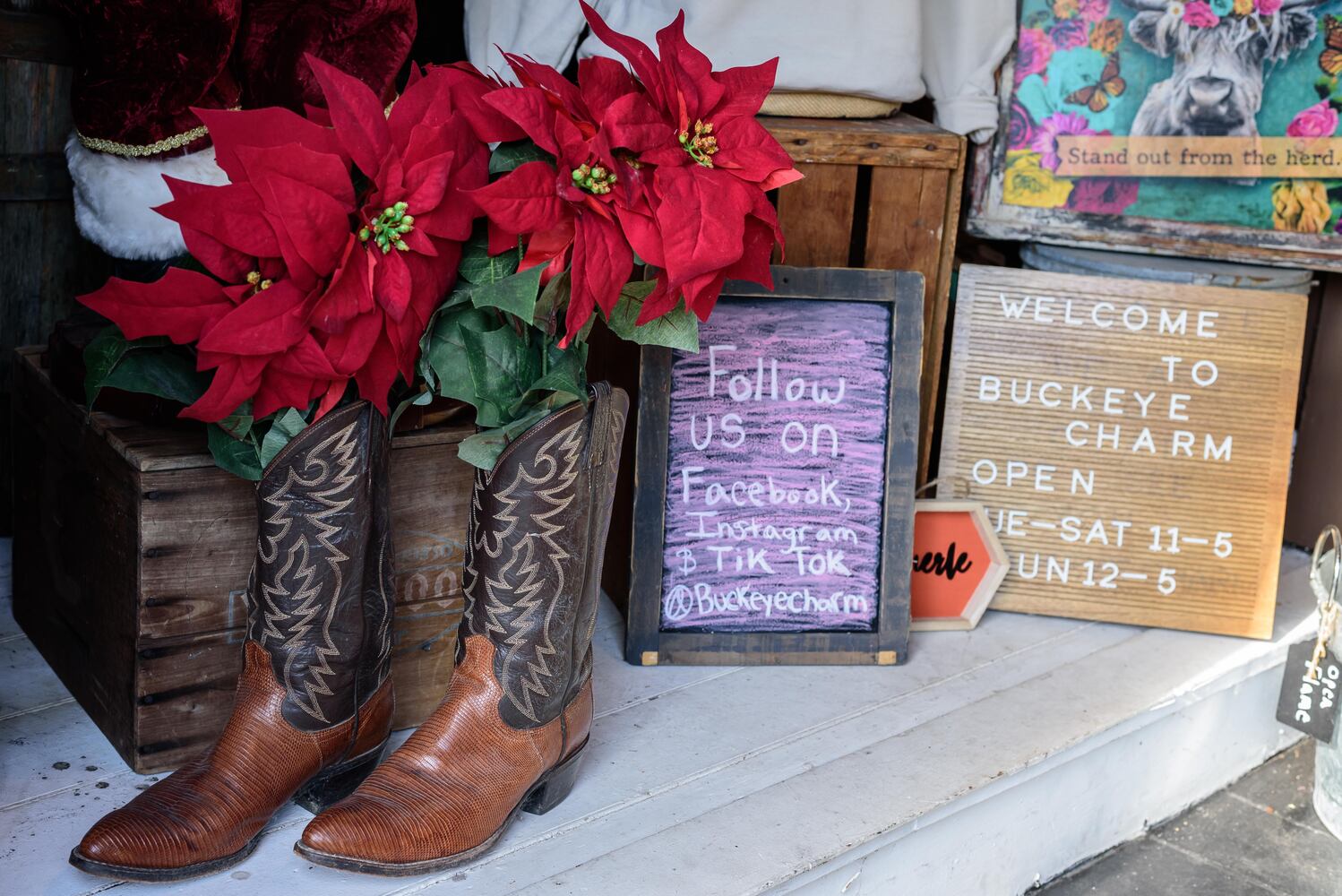 PHOTOS: Did we spot you at Hearthwarming Holidays in downtown Waynesville?