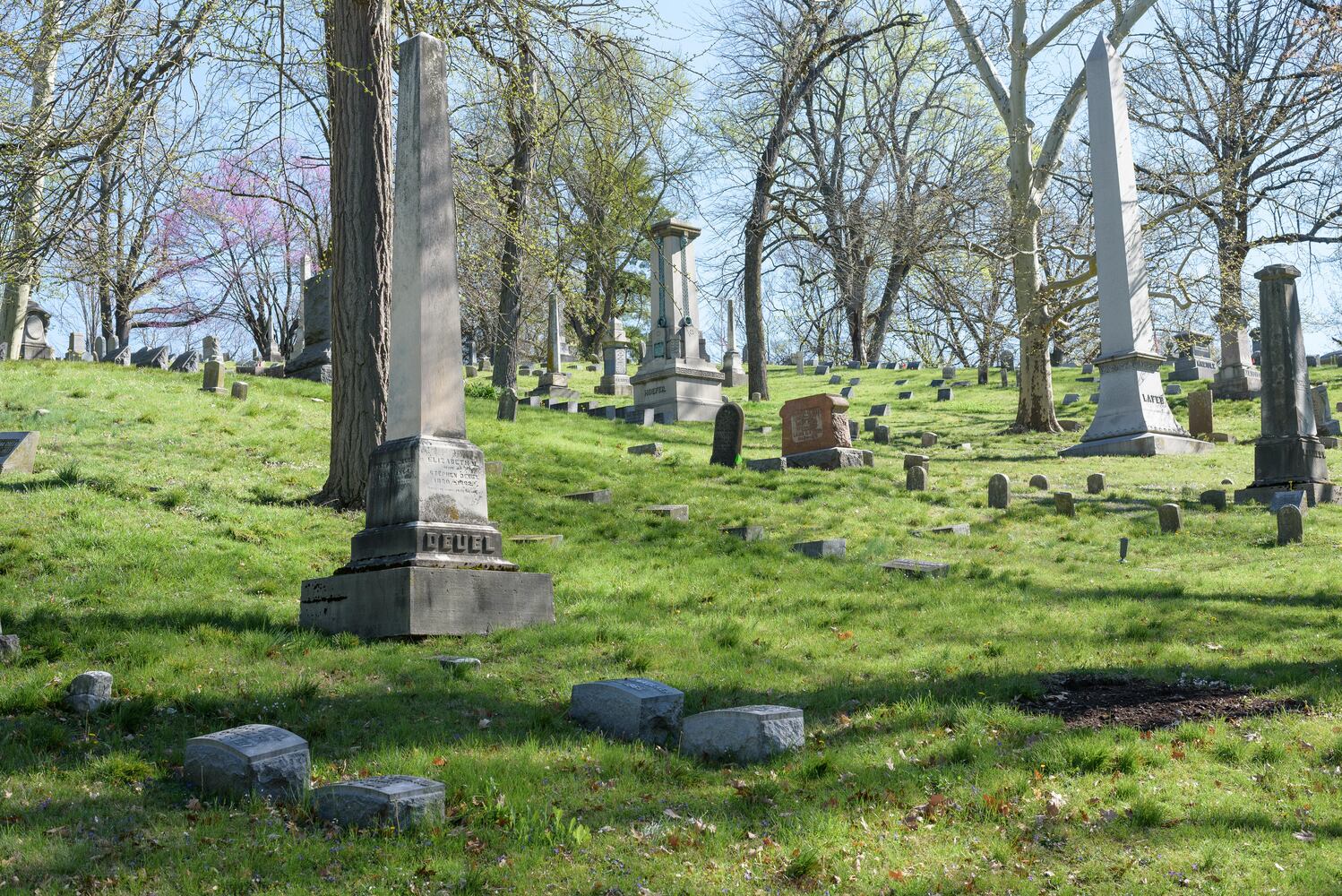 PHOTOS: Woof Walk at Woodland Cemetery & Arboretum