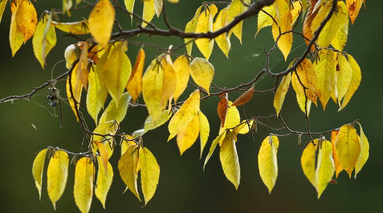 With this winter likely to be colder than last, home heating bills are expected to increase.