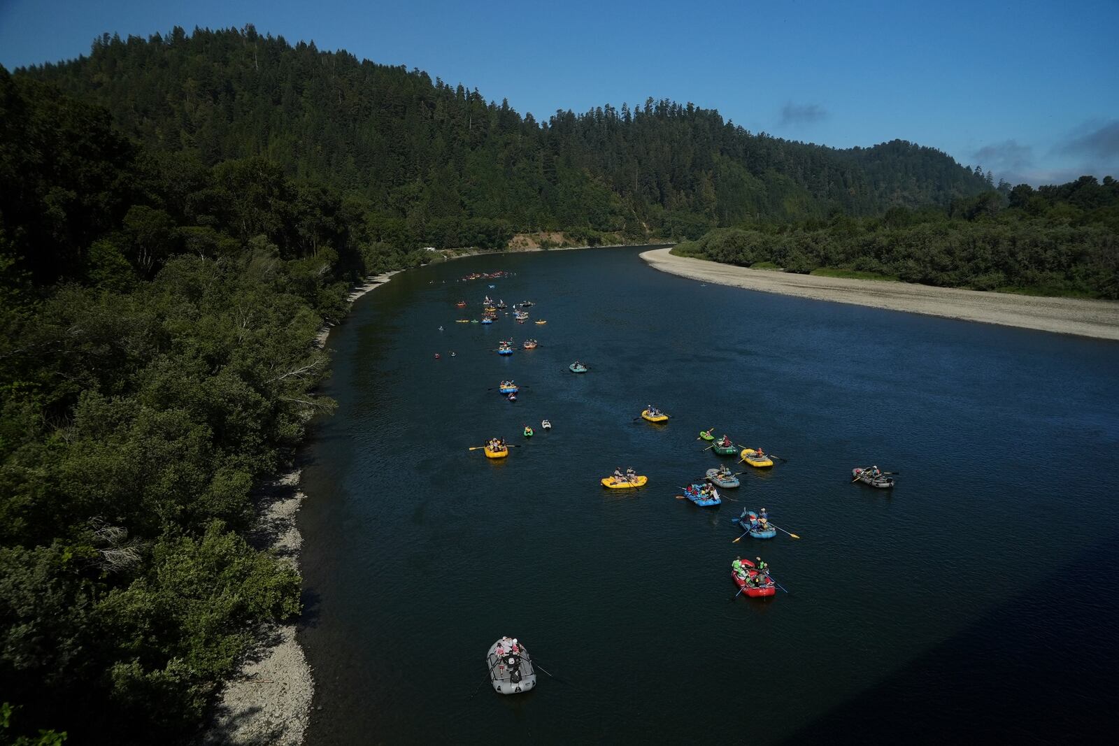 Native youth kayakers and support rafts of family and international paddlers begin journeying the last couple of miles of the Klamath River to reach the Pacific Ocean on Friday, July 11, 2025, in Klamath, Calif. (AP Photo/Brittany Peterson)