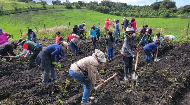 Master Gardener Volunteers building planting beds in Ecuador for an international service project. CONTRIBUTED