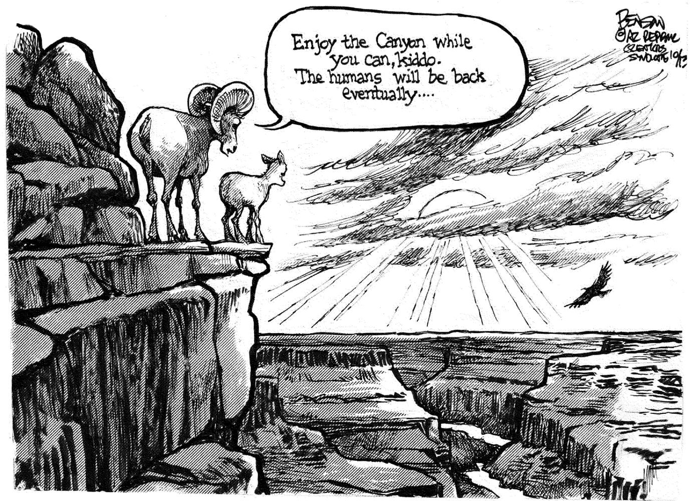 Today's cartoons