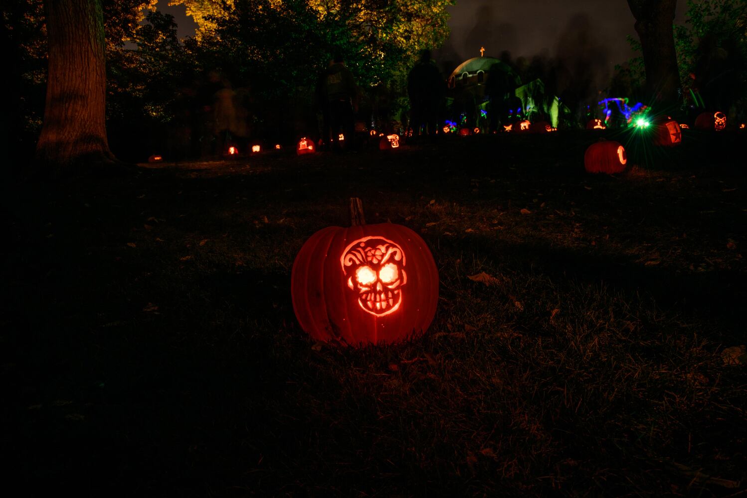 PHOTOS: The Stoddard Avenue Pumpkin Glow LIGHTS Dayton up for Halloween