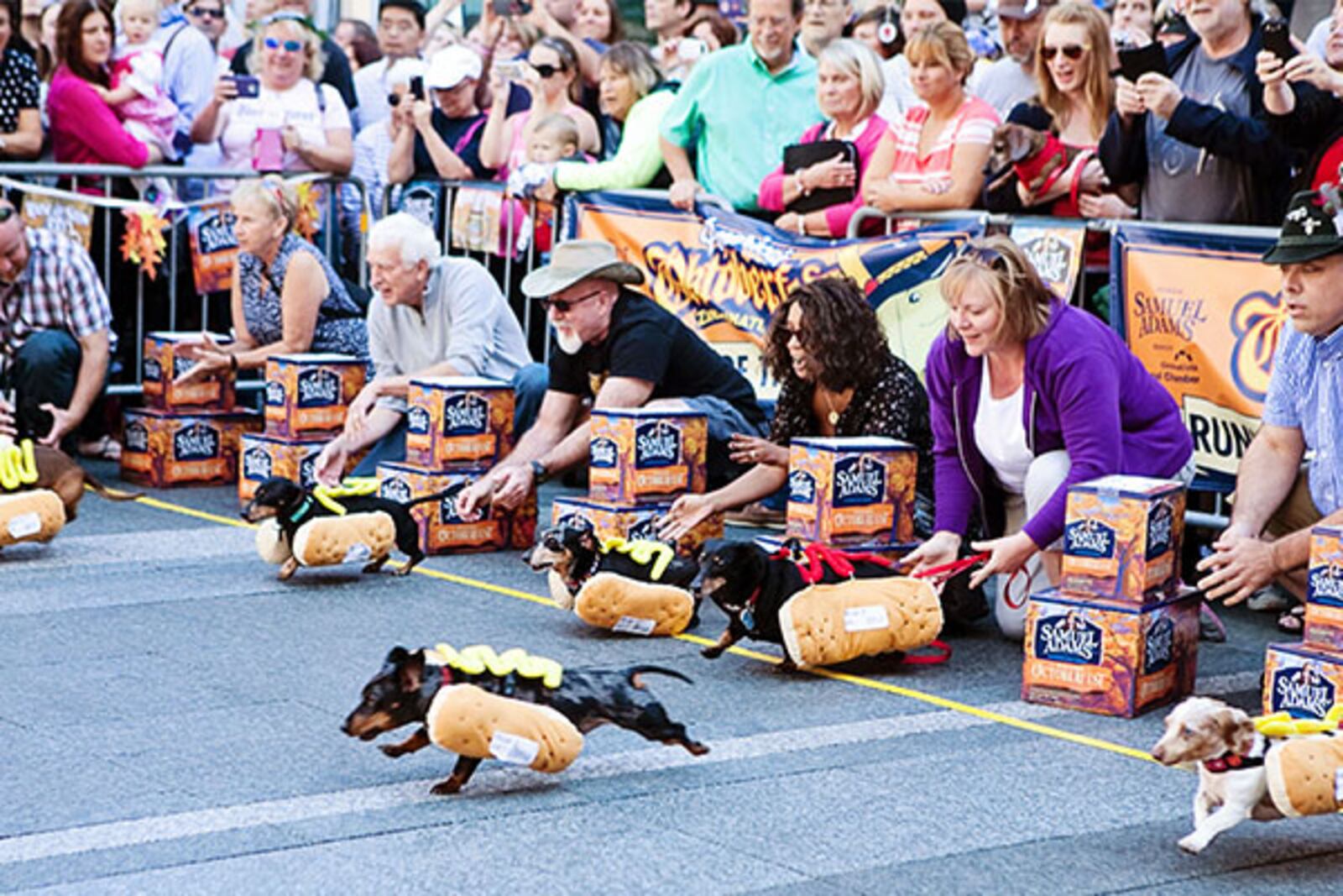 The running of the weiners always heralds the start of Oktoberfest Zinzinnati that is going on in downtown Cincinnati this weekend.