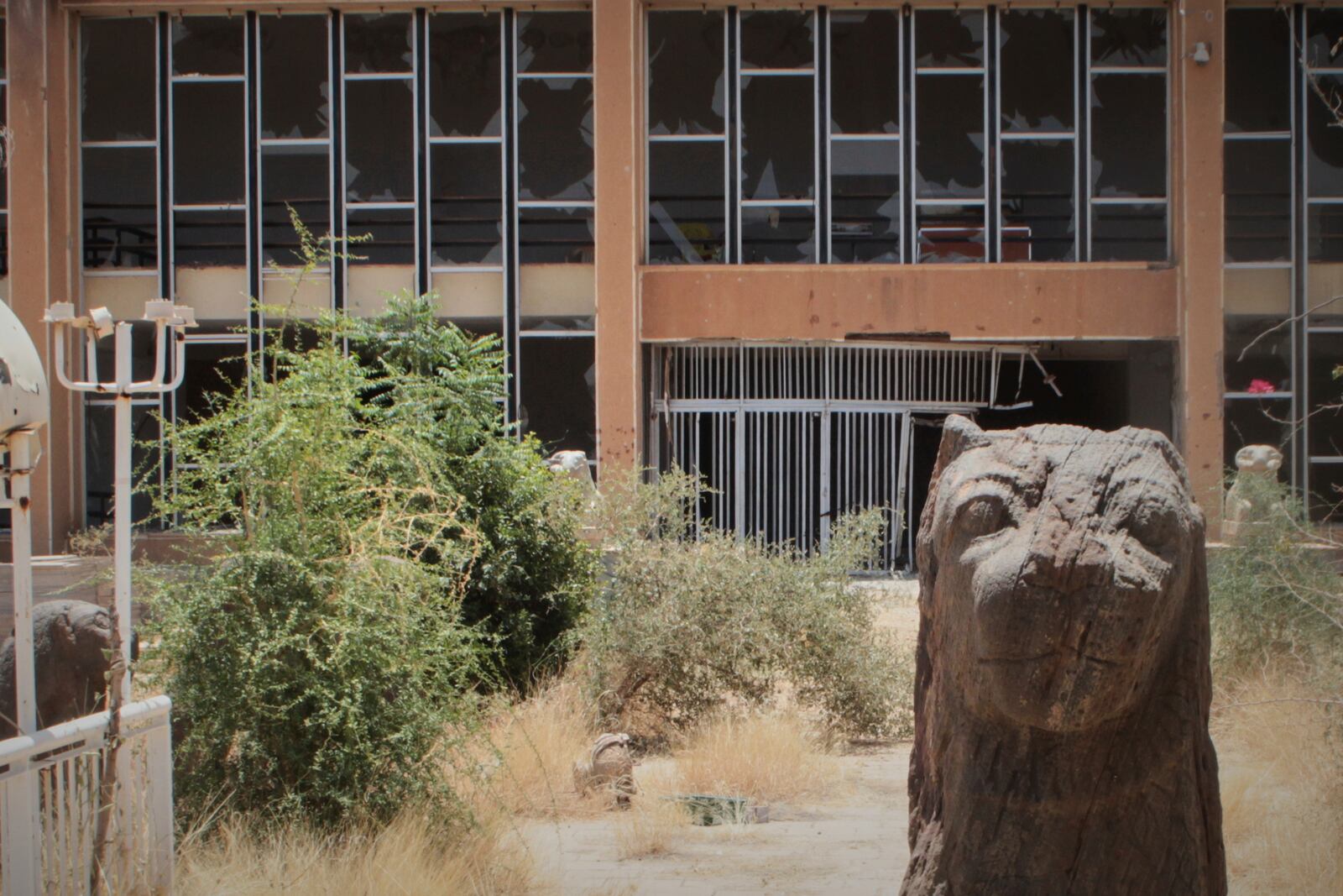 A Meroitic lion statue is seen in the garden of Sudan National Museum, the home to the country's largest artifacts that date to different eras of Sudanese history, after nearly two years of war between the army and paramilitary Rapid Support Forces (RSF), in Khartoum, Sudan, Thursday, April 3, 2025. (AP Photo/Khaled Abd Al Gader)