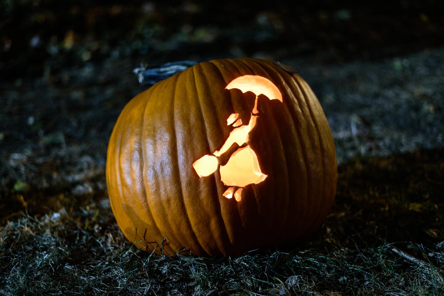 PHOTOS: The Stoddard Avenue Pumpkin Glow