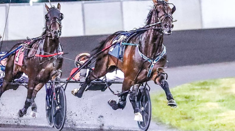 Bulldog Hanover (right) during a recent race. Mark Hall/ USTA