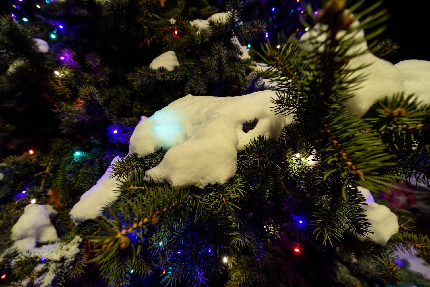 PHOTOS: 2025 Kettering Mayor's Tree Lighting at Lincoln Park Civic Commons