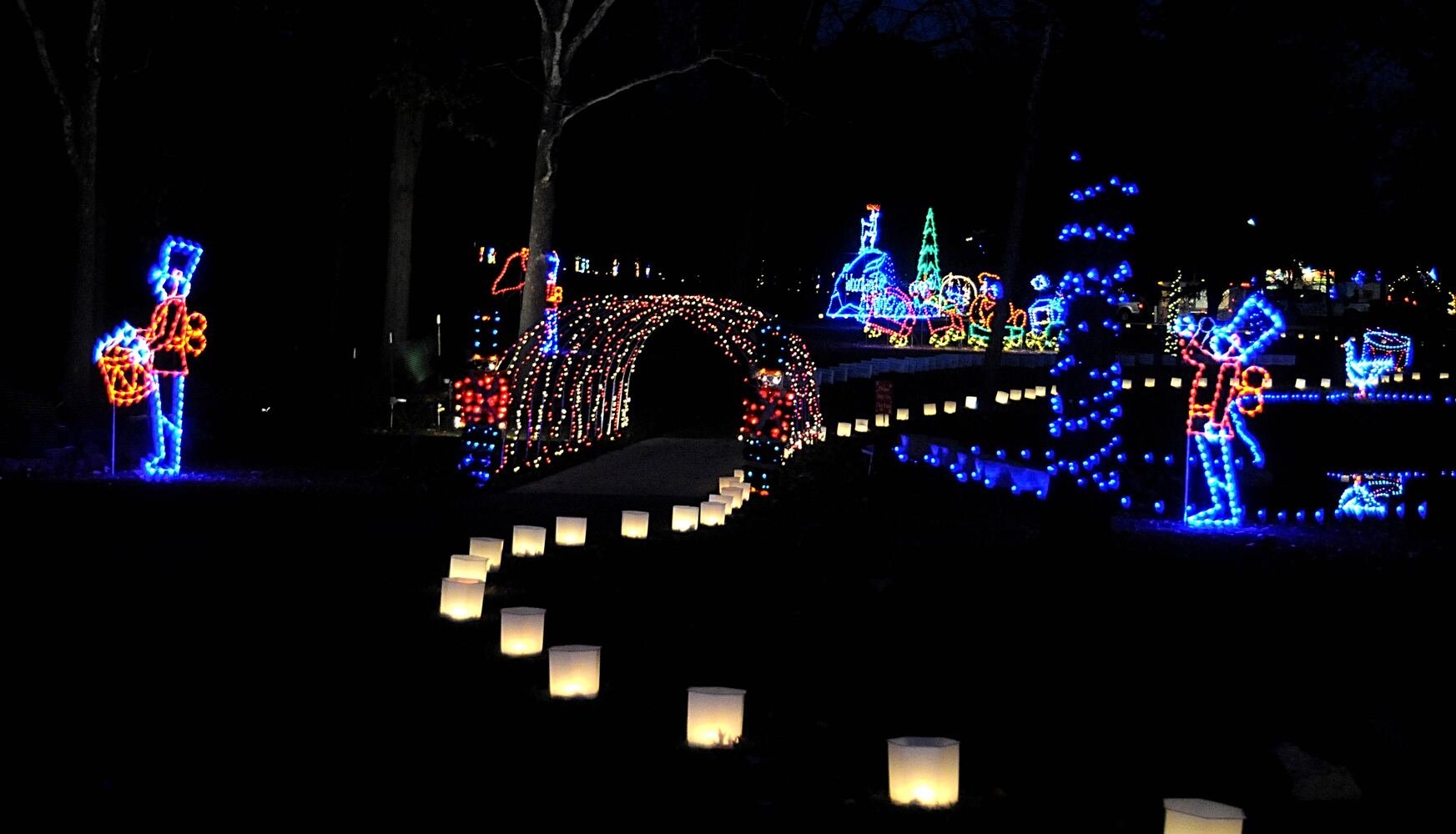 PHOTOS: Did we spot you at opening night of Woodland Lights?