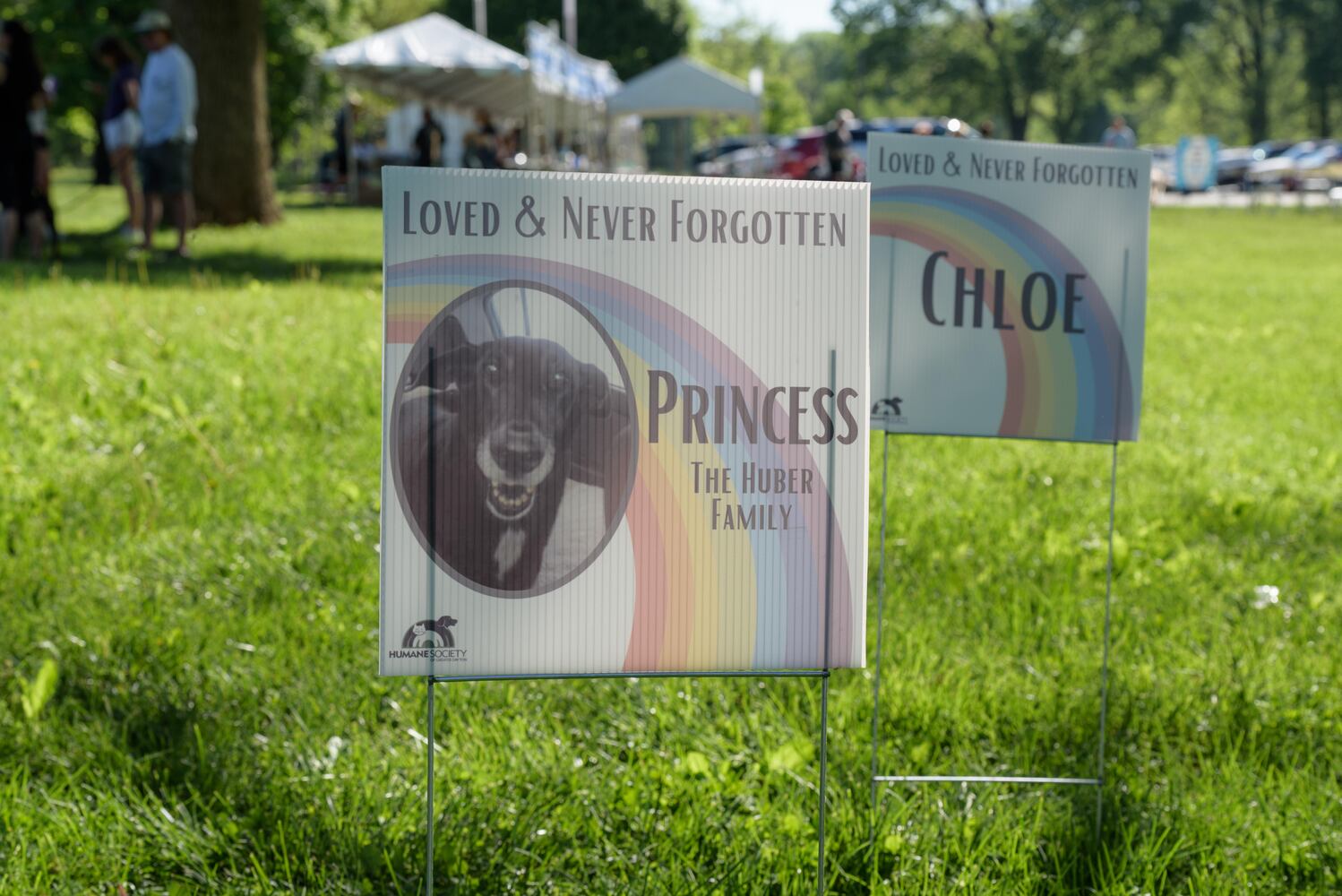 PHOTOS: Did we spot you and your doggie during the Furry Skurry 5K & Furry Fest at Eastwood MetroPark?