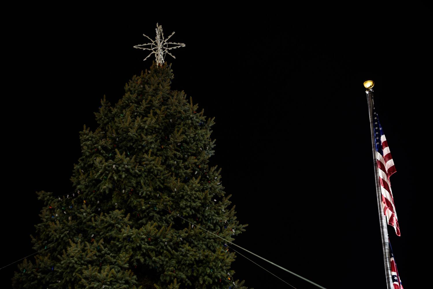 PHOTOS: Troy’s Holiday Tree Lighting