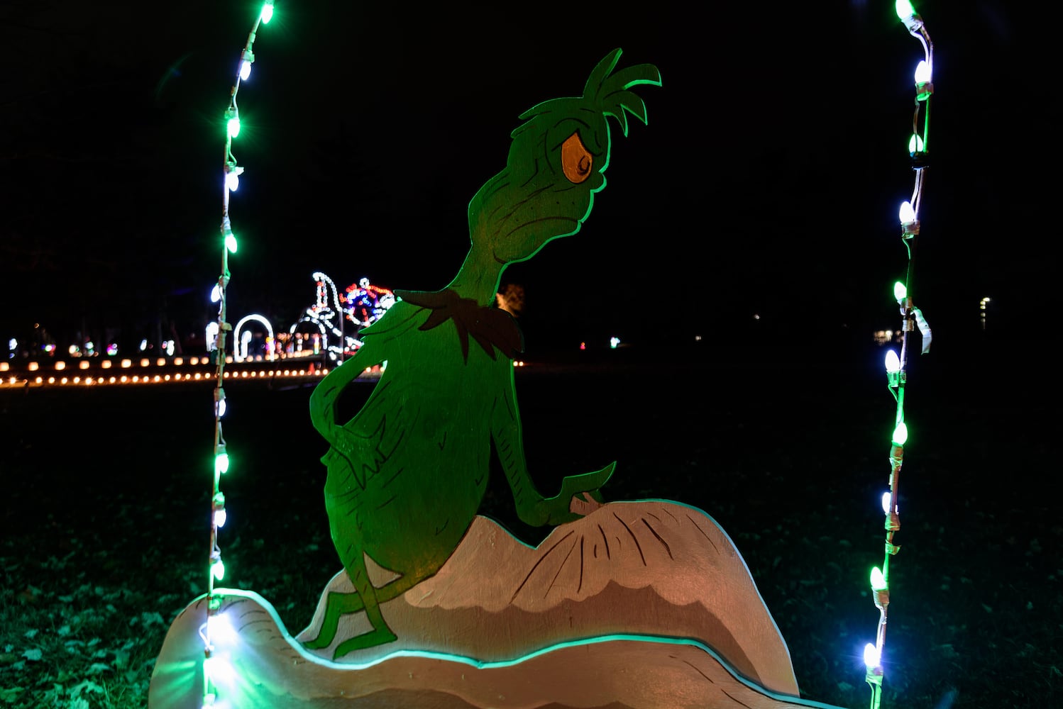 PHOTOS: A walk through Woodland Lights in Washington Township